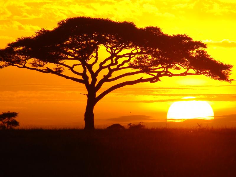 cheap camping safari to southern circuit